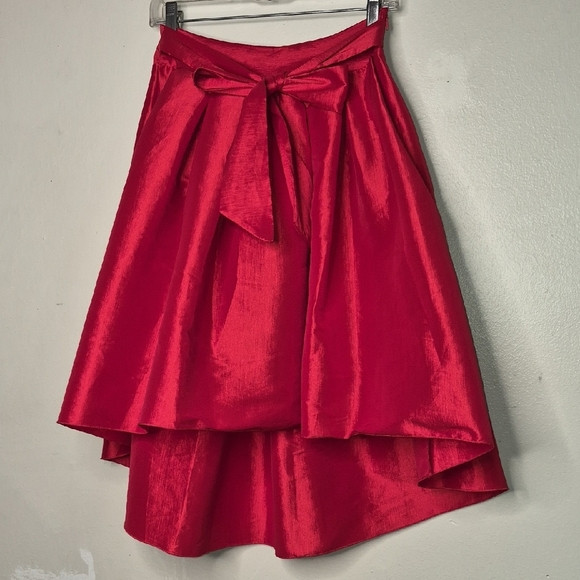 Dresses & Skirts - Elegant Red Women's Skirt